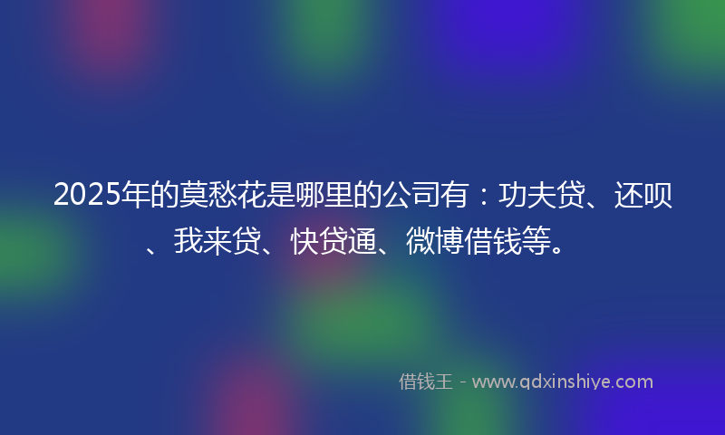2025年的莫愁花是哪里的公司有：功夫贷、还呗、我来贷、快贷通、微博借钱等。