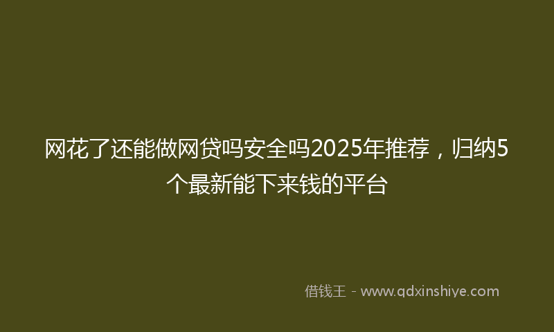 网花了还能做网贷吗安全吗2025年推荐，归纳5个最新能下来钱的平台