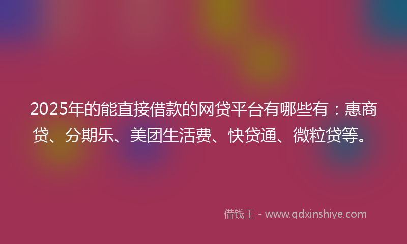 2025年的能直接借款的网贷平台有哪些有：惠商贷、分期乐、美团生活费、快贷通、微粒贷等。