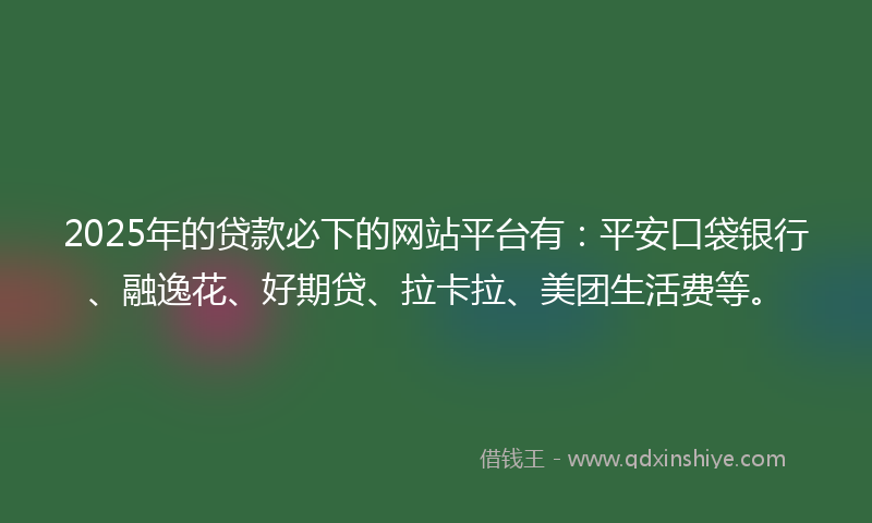 2025年的贷款必下的网站平台有：平安口袋银行、融逸花、好期贷、拉卡拉、美团生活费等。