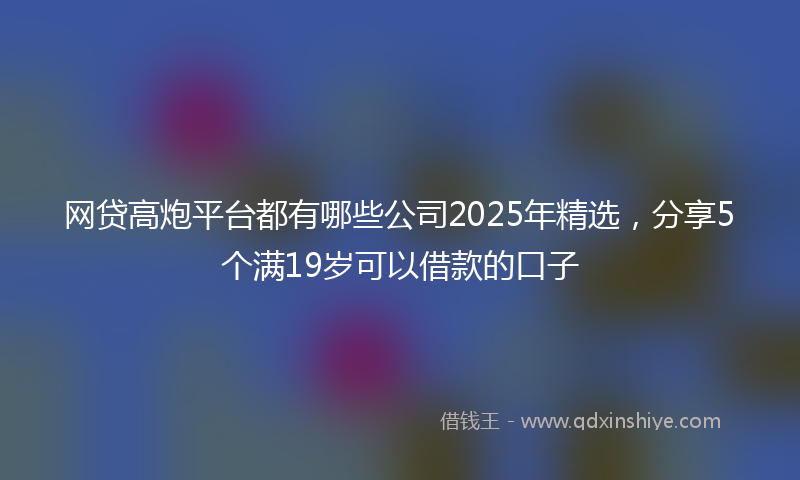 网贷高炮平台都有哪些公司2025年精选，分享5个满19岁可以借款的口子