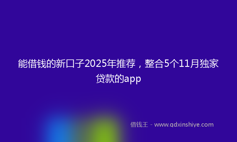 能借钱的新口子2025年推荐，整合5个11月独家贷款的app