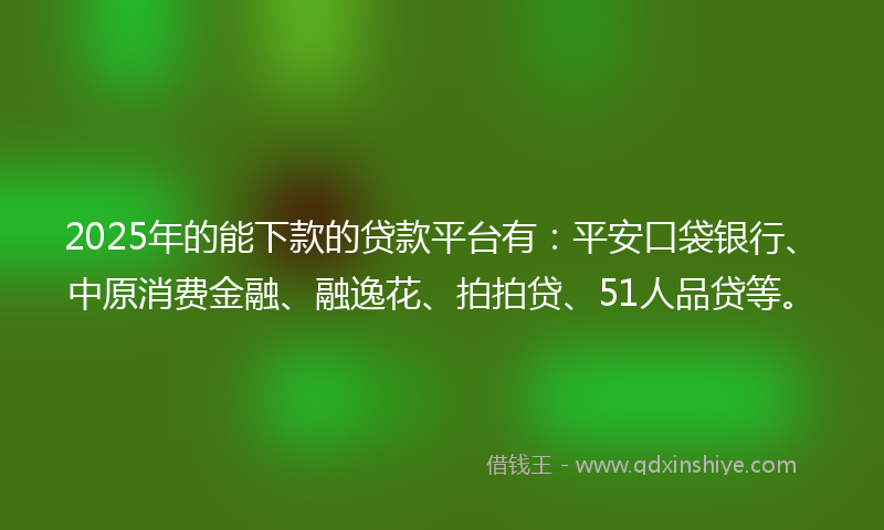 2025年的能下款的贷款平台有：平安口袋银行、中原消费金融、融逸花、拍拍贷、51人品贷等。