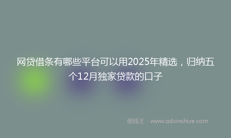 网贷借条有哪些平台可以用2025年精选，归纳五个12月独家贷款的口子