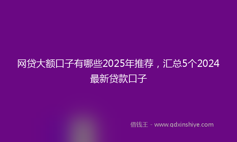 网贷大额口子有哪些2025年推荐，汇总5个2024最新贷款口子