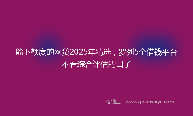 能下额度的网贷2025年精选，罗列5个借钱平台不看综合评估的口子