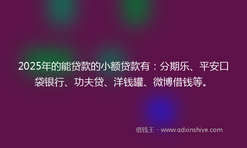 2025年的能贷款的小额贷款有：分期乐、平安口袋银行、功夫贷、洋钱罐、微博借钱等。