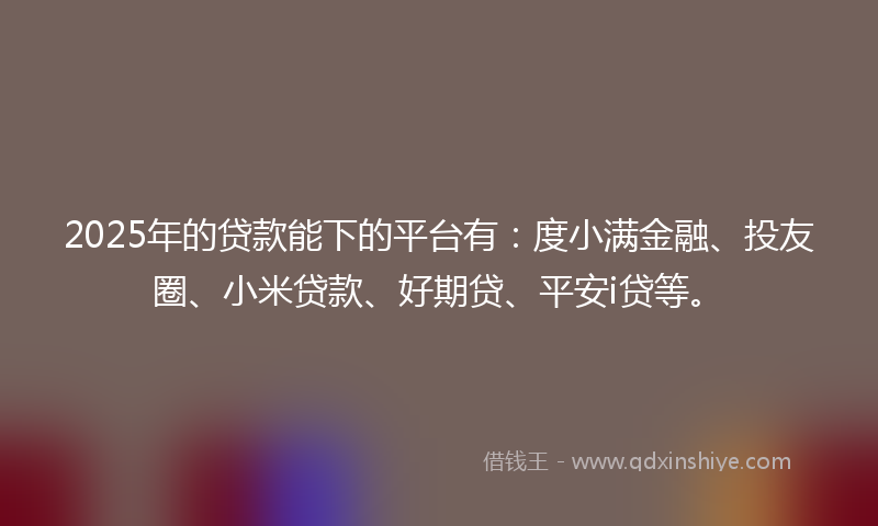 2025年的贷款能下的平台有：度小满金融、投友圈、小米贷款、好期贷、平安i贷等。