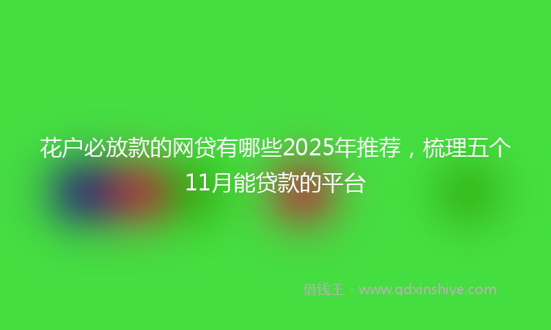 花户必放款的网贷有哪些2025年推荐，梳理五个11月能贷款的平台