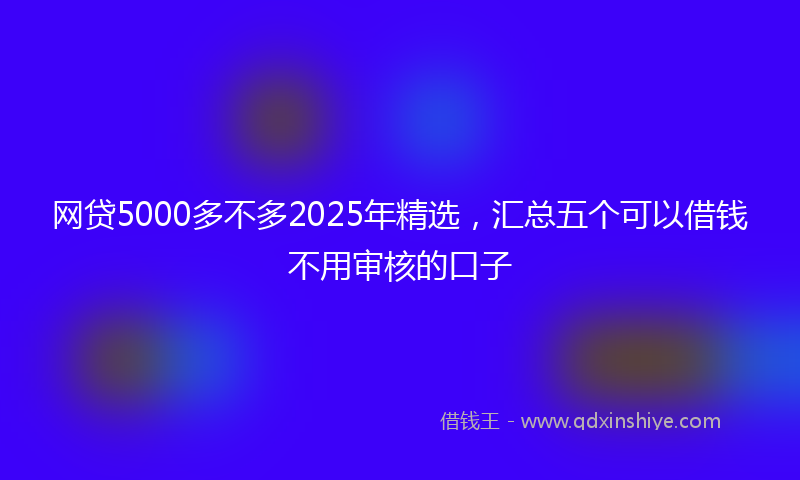 网贷5000多不多2025年精选，汇总五个可以借钱不用审核的口子