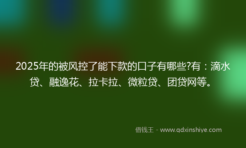 2025年的被风控了能下款的口子有哪些?有：滴水贷、融逸花、拉卡拉、微粒贷、团贷网等。