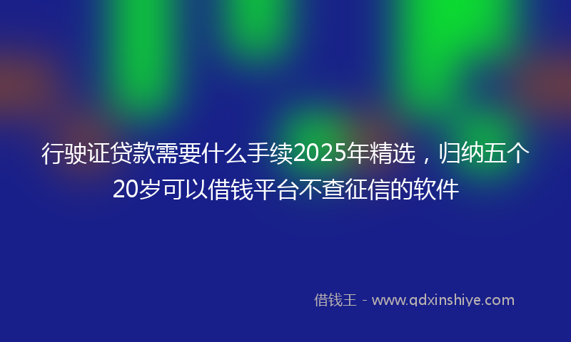 行驶证贷款需要什么手续2025年精选，归纳五个20岁可以借钱平台不查征信的软件