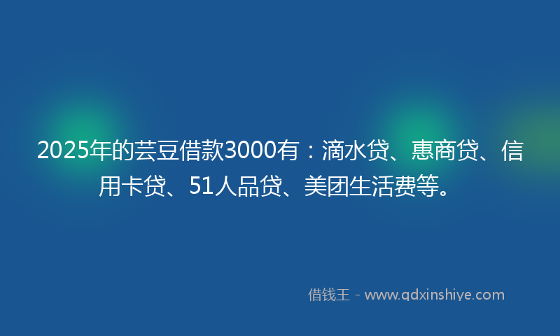 2025年的芸豆借款3000有：滴水贷、惠商贷、信用卡贷、51人品贷、美团生活费等。