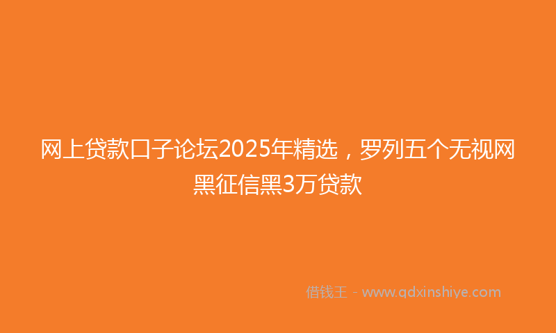 网上贷款口子论坛2025年精选，罗列五个无视网黑征信黑3万贷款