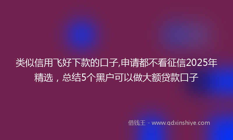 类似信用飞好下款的口子,申请都不看征信2025年精选，总结5个黑户可以做大额贷款口子