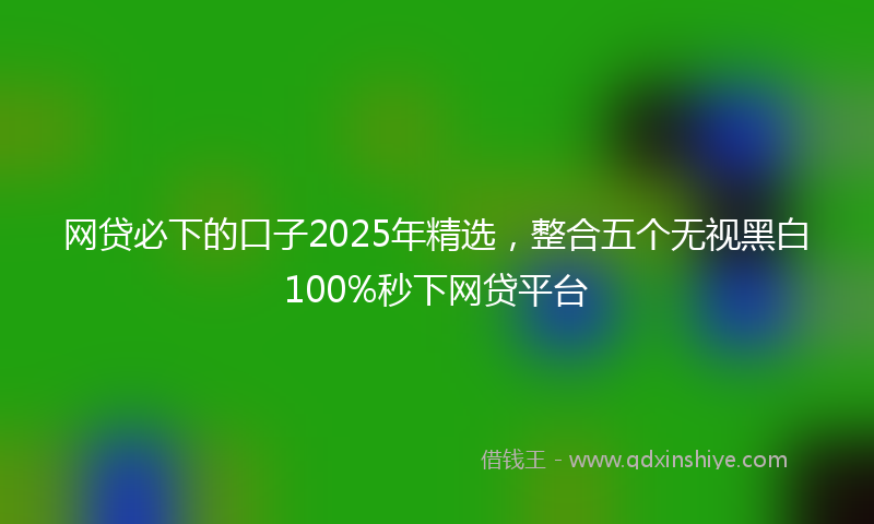 网贷必下的口子2025年精选，整合五个无视黑白100%秒下网贷平台