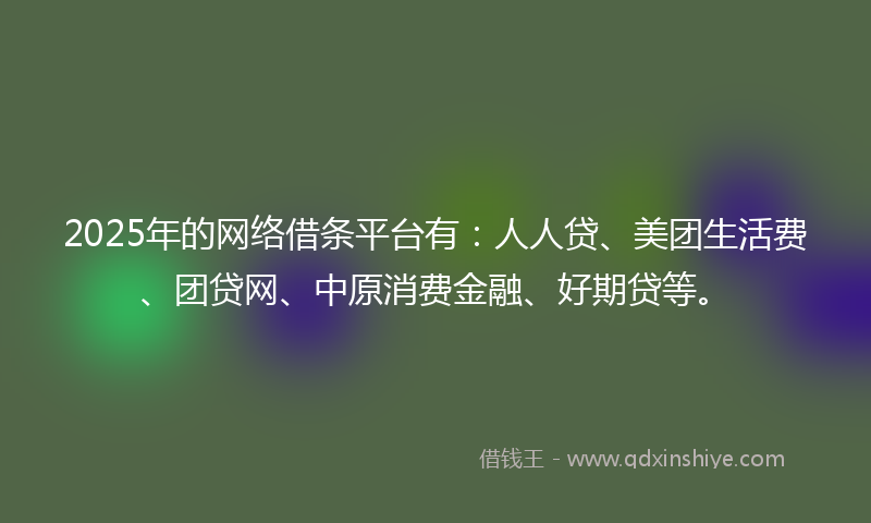2025年的网络借条平台有：人人贷、美团生活费、团贷网、中原消费金融、好期贷等。