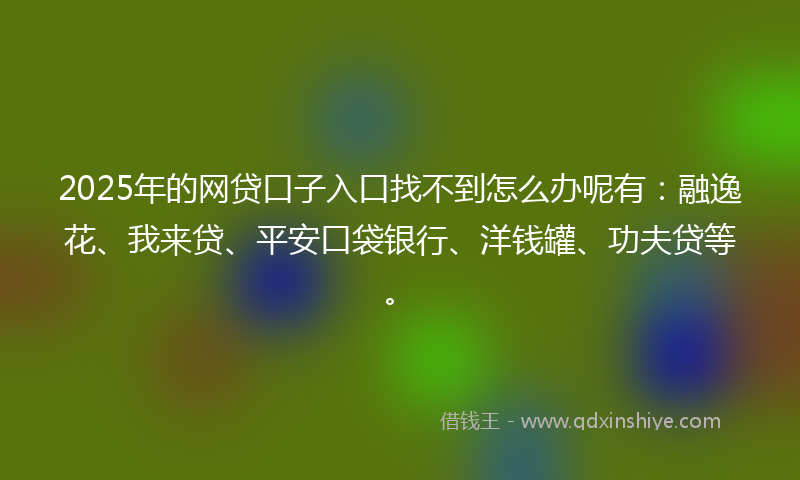 2025年的网贷口子入口找不到怎么办呢有：融逸花、我来贷、平安口袋银行、洋钱罐、功夫贷等。