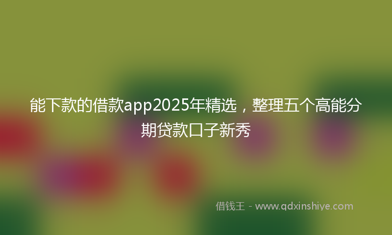 能下款的借款app2025年精选，整理五个高能分期贷款口子新秀