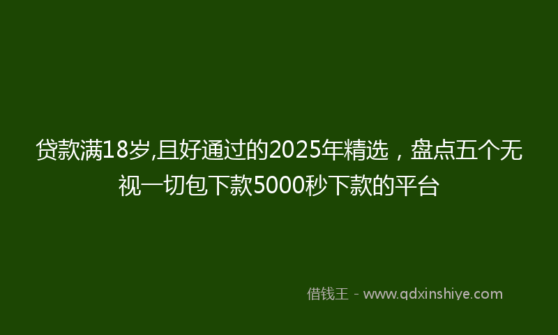 贷款满18岁,且好通过的2025年精选，盘点五个无视一切包下款5000秒下款的平台