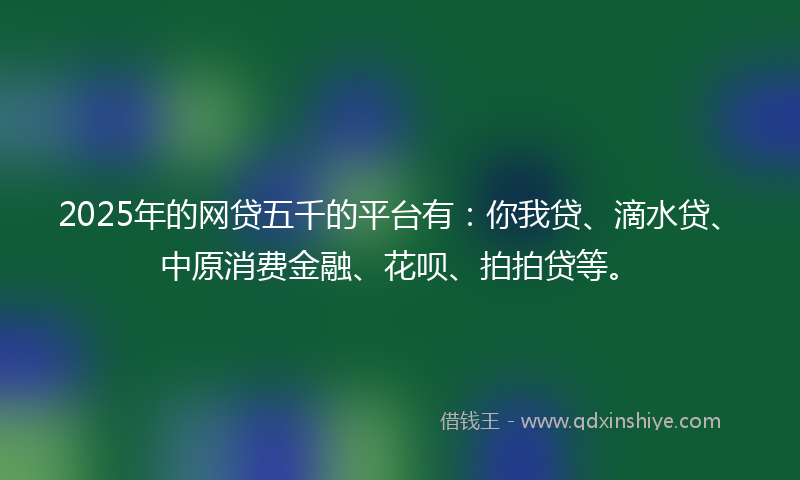 2025年的网贷五千的平台有：你我贷、滴水贷、中原消费金融、花呗、拍拍贷等。