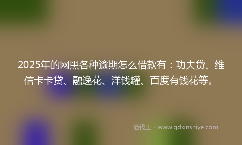 2025年的网黑各种逾期怎么借款有：功夫贷、维信卡卡贷、融逸花、洋钱罐、百度有钱花等。
