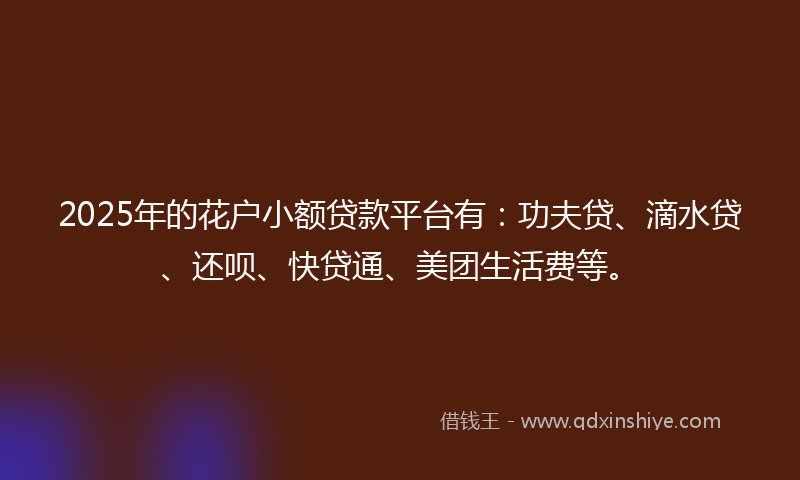 2025年的花户小额贷款平台有：功夫贷、滴水贷、还呗、快贷通、美团生活费等。