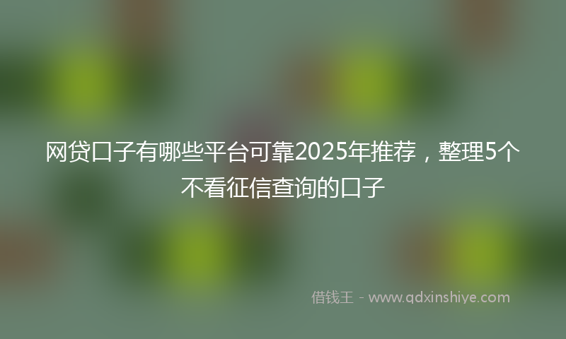网贷口子有哪些平台可靠2025年推荐，整理5个不看征信查询的口子