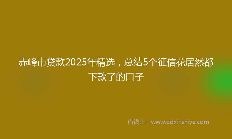 赤峰市贷款2025年精选，总结5个征信花居然都下款了的口子