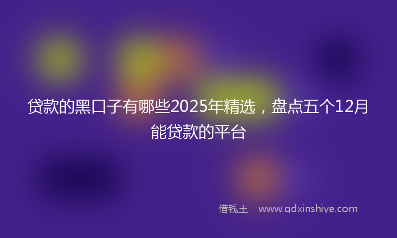贷款的黑口子有哪些2025年精选，盘点五个12月能贷款的平台