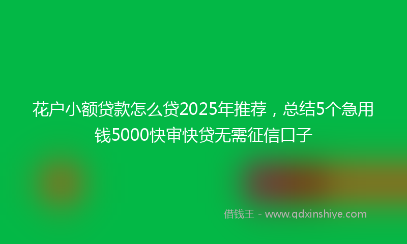 花户小额贷款怎么贷2025年推荐，总结5个急用钱5000快审快贷无需征信口子