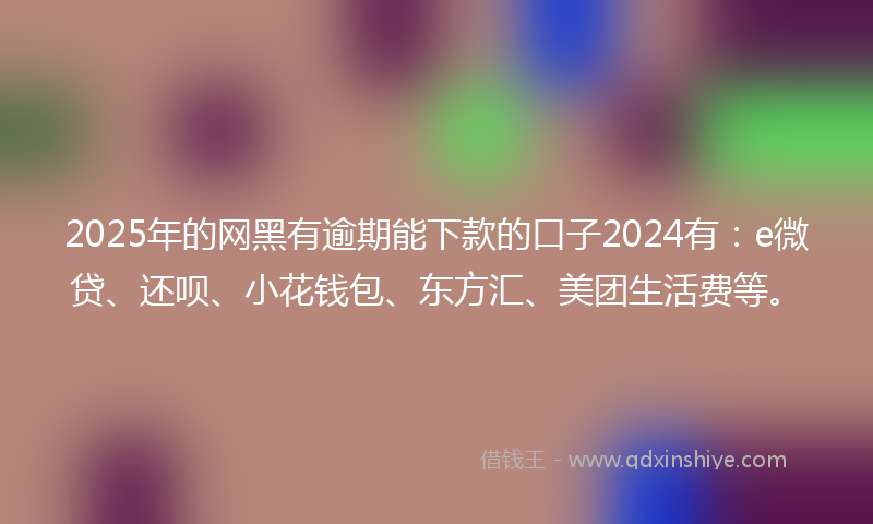 2025年的网黑有逾期能下款的口子2024有：e微贷、还呗、小花钱包、东方汇、美团生活费等。