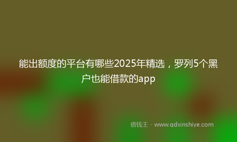 能出额度的平台有哪些2025年精选，罗列5个黑户也能借款的app