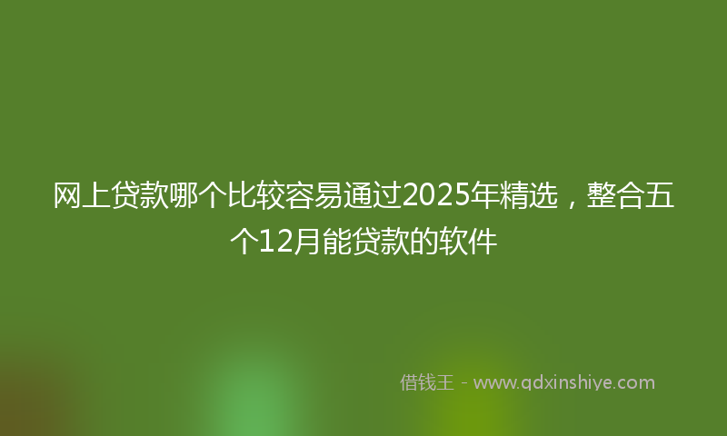 网上贷款哪个比较容易通过2025年精选，整合五个12月能贷款的软件