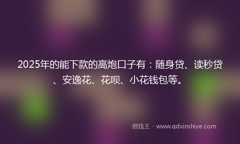 2025年的能下款的高炮口子有：随身贷、读秒贷、安逸花、花呗、小花钱包等。
