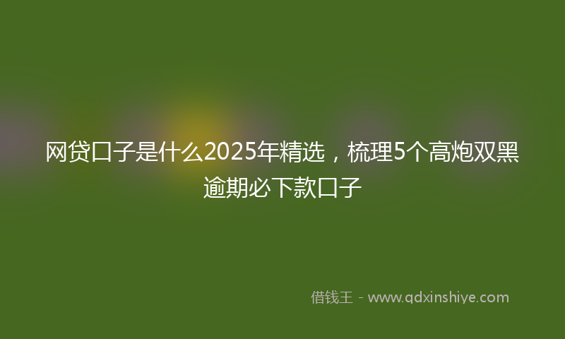网贷口子是什么2025年精选，梳理5个高炮双黑逾期必下款口子