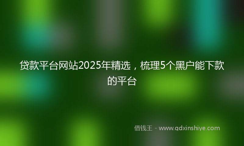 贷款平台网站2025年精选，梳理5个黑户能下款的平台