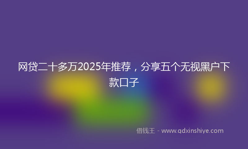 网贷二十多万2025年推荐，分享五个无视黑户下款口子
