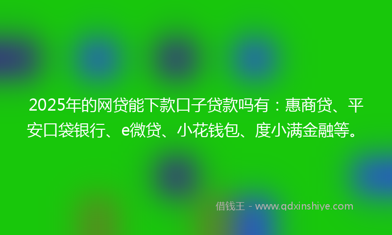 2025年的网贷能下款口子贷款吗有：惠商贷、平安口袋银行、e微贷、小花钱包、度小满金融等。