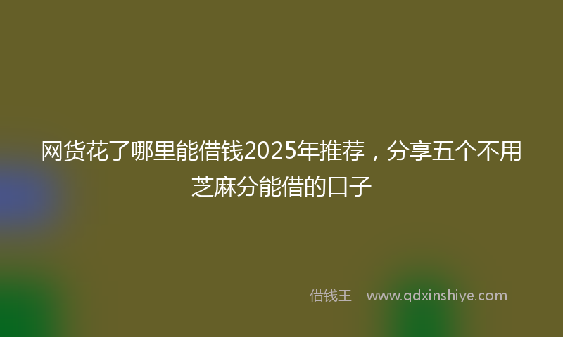 网货花了哪里能借钱2025年推荐，分享五个不用芝麻分能借的口子