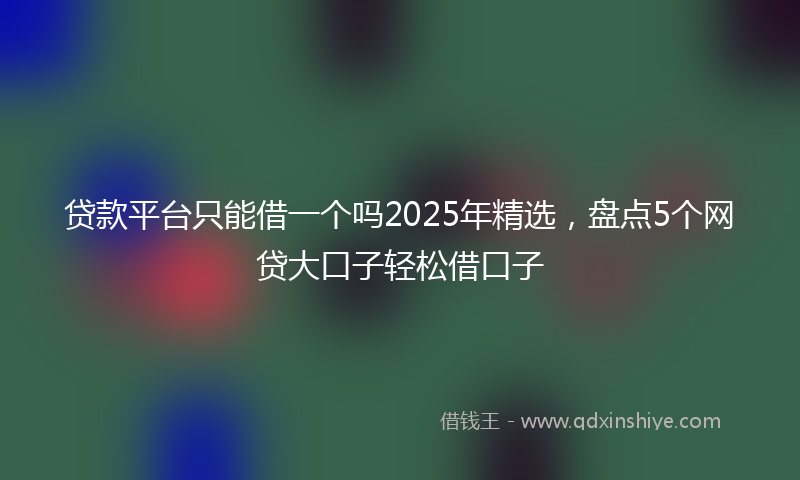 贷款平台只能借一个吗2025年精选，盘点5个网贷大口子轻松借口子