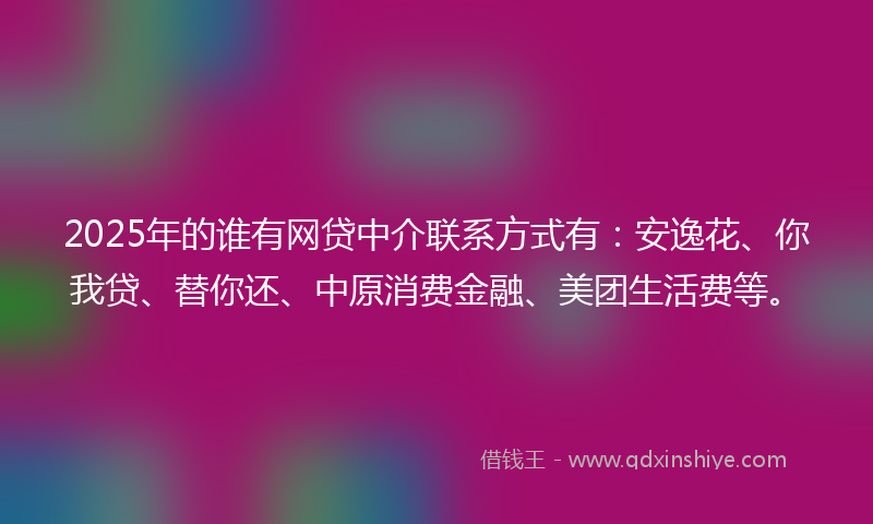 2025年的谁有网贷中介联系方式有：安逸花、你我贷、替你还、中原消费金融、美团生活费等。