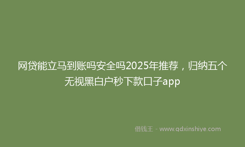 网贷能立马到账吗安全吗2025年推荐，归纳五个无视黑白户秒下款口子app
