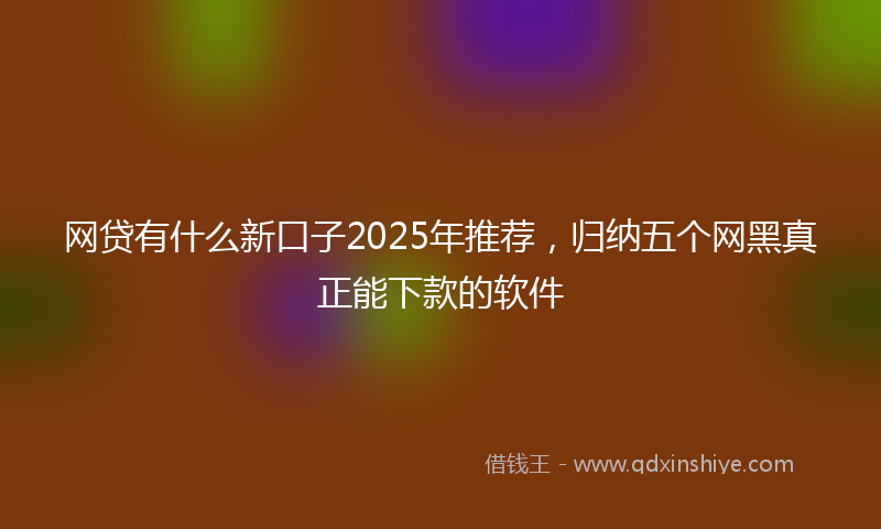 网贷有什么新口子2025年推荐，归纳五个网黑真正能下款的软件