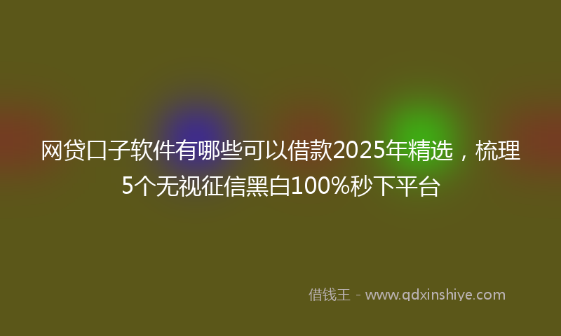 网贷口子软件有哪些可以借款2025年精选，梳理5个无视征信黑白100%秒下平台