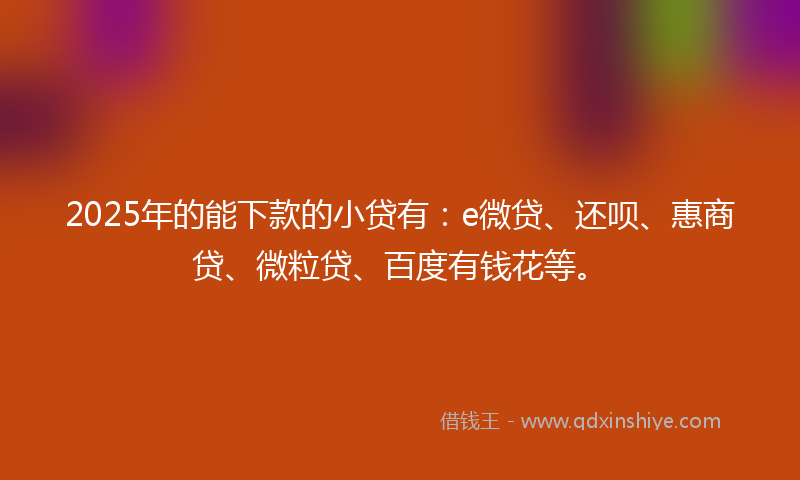 2025年的能下款的小贷有：e微贷、还呗、惠商贷、微粒贷、百度有钱花等。