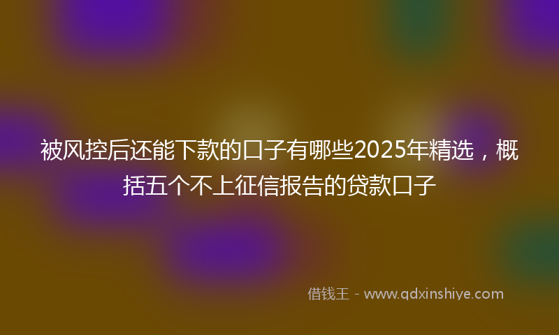 被风控后还能下款的口子有哪些2025年精选，概括五个不上征信报告的贷款口子