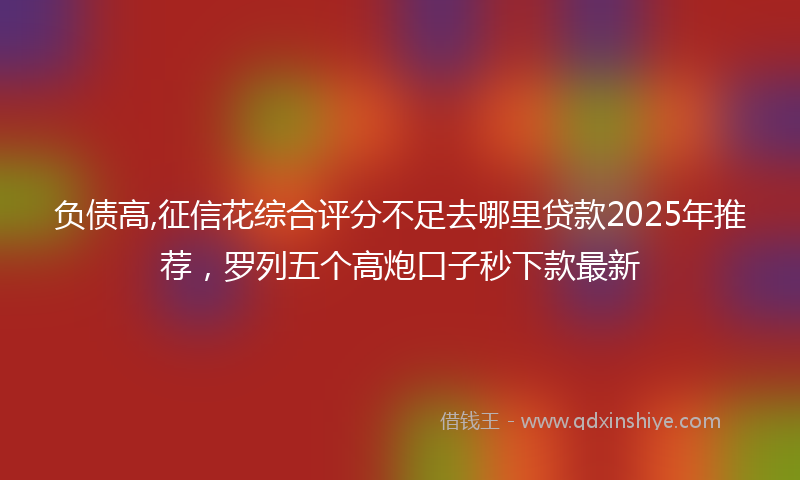 负债高,征信花综合评分不足去哪里贷款2025年推荐，罗列五个高炮口子秒下款最新