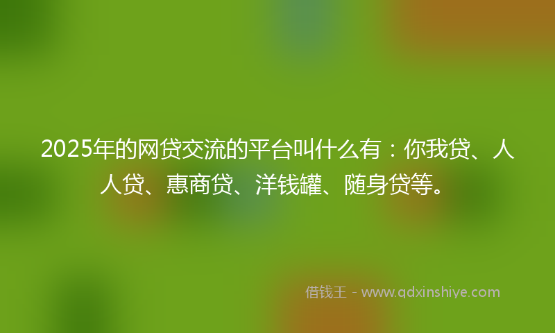 2025年的网贷交流的平台叫什么有：你我贷、人人贷、惠商贷、洋钱罐、随身贷等。