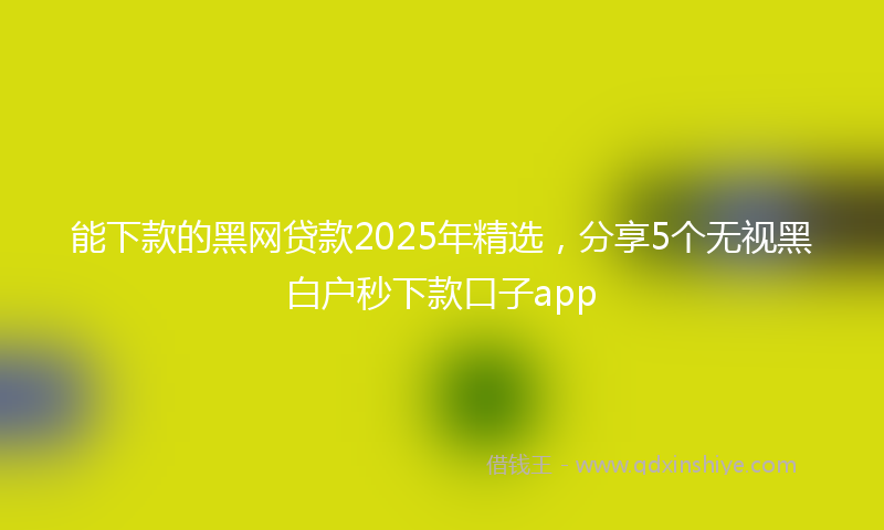 能下款的黑网贷款2025年精选，分享5个无视黑白户秒下款口子app